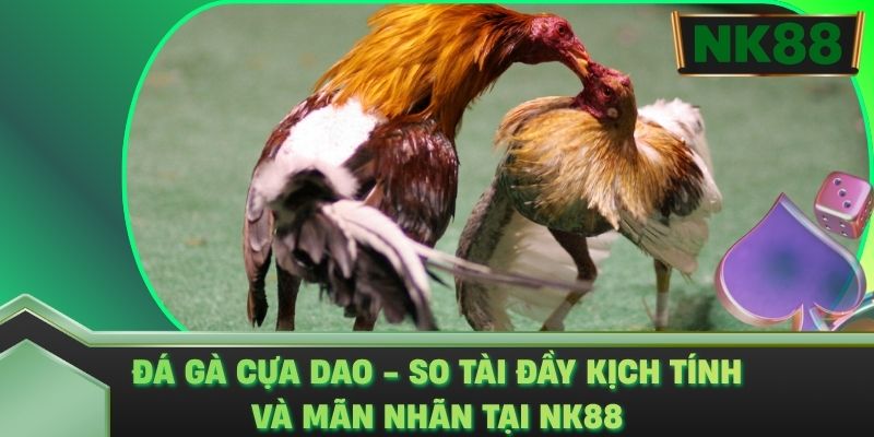 Đá Gà Cựa Dao - So Tài Đầy Kịch Tính Và Mãn Nhãn Tại NK88