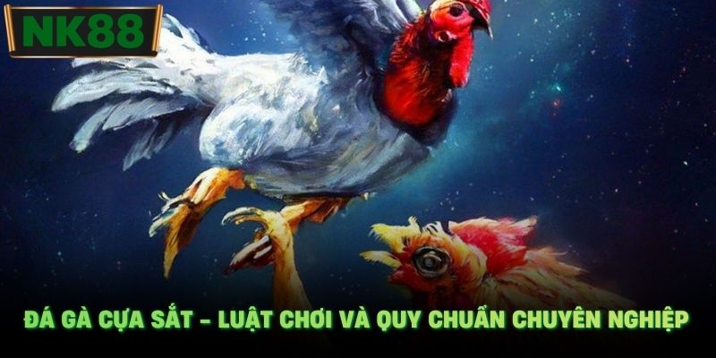 Đá gà cựa sắt - Luật chơi và quy chuẩn chuyên nghiệp