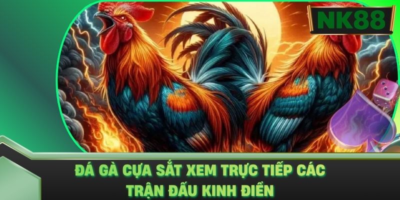 Đá Gà Cựa Sắt - Xem Trực Tiếp Trận Đấu Kinh Điển Tại NK88