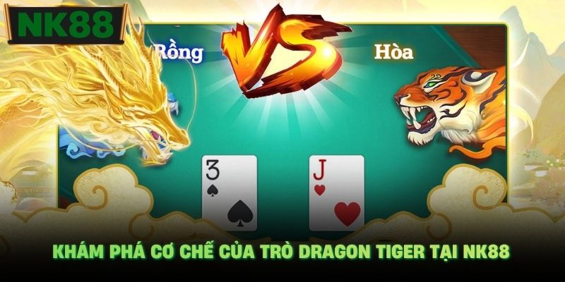 Khám phá cơ chế của trò Dragon Tiger tại NK88