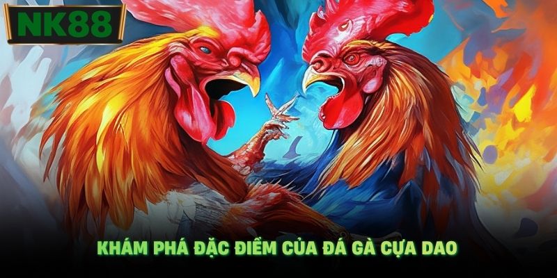 Khám phá đặc điểm của đá gà cựa dao