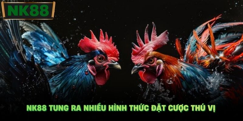 NK88 tung ra nhiều hình thức đặt cược thú vị