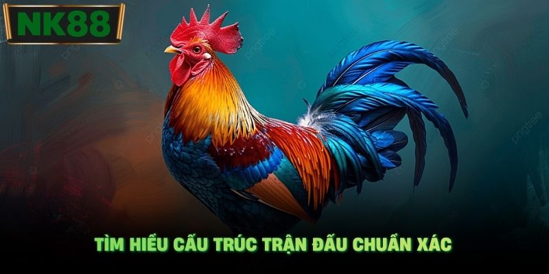 Tìm hiểu cấu trúc trận đấu chuẩn xác
